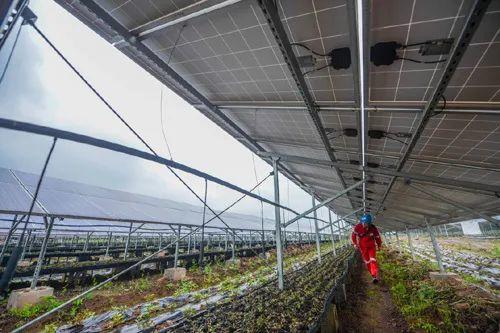中國十三省最大光伏電站在這里！欽州康熙嶺的光伏電站能排上號了嗎？